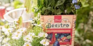 Franck Beestro – projekt usmjeren na zaštitu ekosustava i pčelinjih zajednica