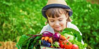 Vrtim zdravi film: Hrvatske škole dobile 2.000 sadnica za pripremu zdravih obroka