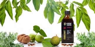 Što je Macerat 13 Lautus i protiv ćega se uspješno bori?