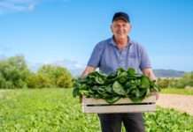 Kušaj domaće: Uz vodeći lanac na Jadranu birajte ukusno i zdravo!