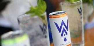 WAI Moment endless summer party: Predstavljen hard seltzer Zagrebačke pivovare