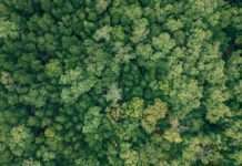 Biraj Zeleno edukativna kampanja: Malim koracima do pozitivnih ekoloških promjena