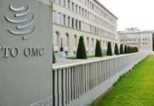 WTO: Oporavak globalne trgovine mogao bi oslabiti u drugoj polovini godine