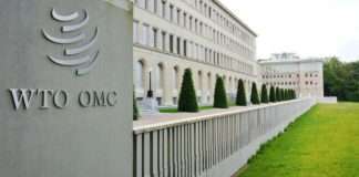 WTO: Oporavak globalne trgovine mogao bi oslabiti u drugoj polovini godine