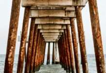 Potpore: Što nam donosi jesen?