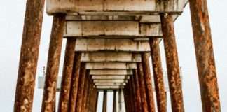 Potpore: Što nam donosi jesen?