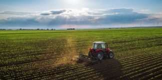 CROATIA osiguranje poljoprivrednicima isplatilo 12,6 milijuna kuna naknada za štete od suše