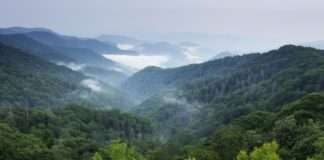 Mars namjerava ostvariti nultu stopu emisije stakleničkih plinova duž cijelog lanca vrijednosti