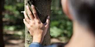 Tvrtka Tetra Pak objavila 22. godišnji Izvještaj o održivosti