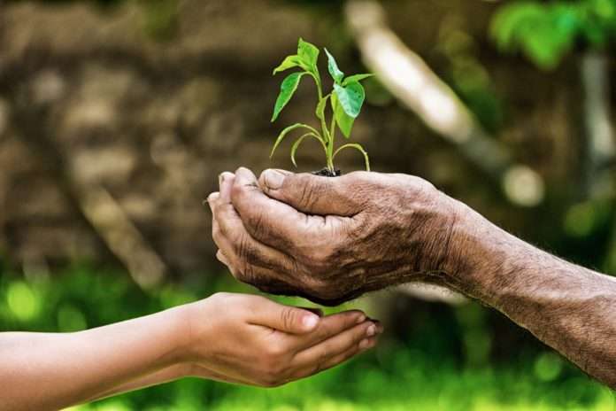 © Jane Goodall Institute