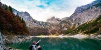 Vode li emocije prema markama lojalnosti u kupovini?