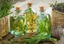 HGK: Najbolja travarica dolazi iz Osijeka, a liker iz Zagreba