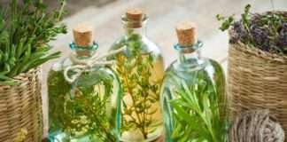 HGK: Najbolja travarica dolazi iz Osijeka, a liker iz Zagreba