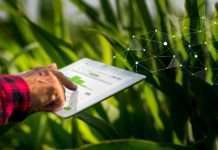 Feelsgood ulaže 5,6 milijuna kuna u AGRIVI