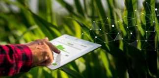 Feelsgood ulaže 5,6 milijuna kuna u AGRIVI