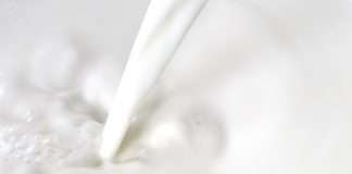 Počele prijave za potpore malim mljekarama vrijedne pet milijuna kuna