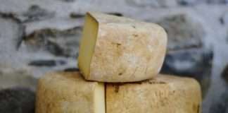 Istarski ovčji sir na putu da dobije zaštićenu oznaku izvornosti