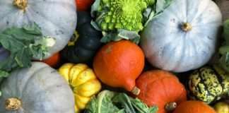 Uputa za certifikaciju ekološke proizvodnje – traže se podatci o količini proizvoda