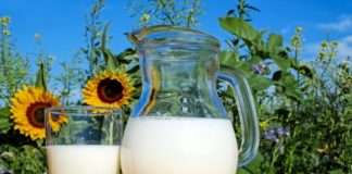 HPK: Otkupna cijena mlijeka treba ići prema 3,5 kuna