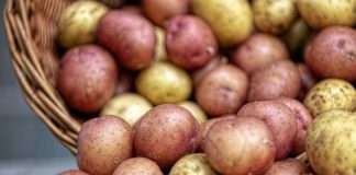 DZS: Proizvođačke cijene u poljoprivredi porasle 21,2 posto