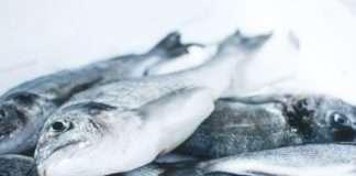 DZS: U 2021. ulov i uzgoj morske ribe pao 6,5 posto, cijene porasle