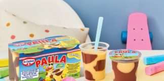 PAULA PUDING – nova cool faca u hladnjaku od Dr. Oetkera