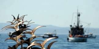 EK odobrio program potpora ribarstvu i akvakulturi vrijedan 75 milijuna kuna