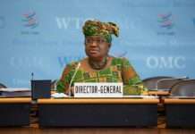 WTO: Rat u Ukrajini teško će pogoditi globalnu trgovinu