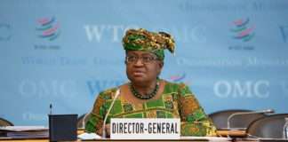 WTO: Rat u Ukrajini teško će pogoditi globalnu trgovinu