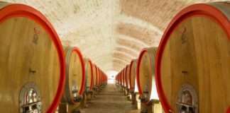 Vina Belje izlaze na tržište s nagrađenim vinima nove berbe