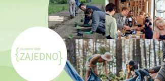 Natječaj dm-a {ZAJEDNO} za zelene ideje