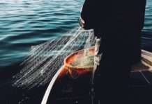 Ministarstvo: Ribarima na raspolaganju 105 mil. kn iz proračuna