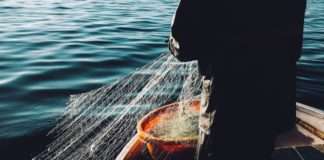 Ministarstvo: Ribarima na raspolaganju 105 mil. kn iz proračuna