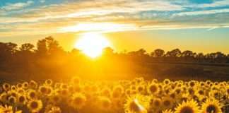 Cijene hrane u ožujku na najvišoj razini u više od 30 godina