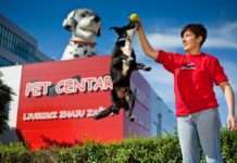 Pet retail – industrija hrane i dodataka za kućne ljubimce bilježi veliki rast