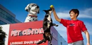 Pet retail – industrija hrane i dodataka za kućne ljubimce bilježi veliki rast