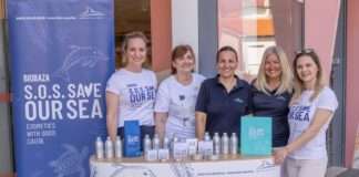 Biobaza i dm-drogerie markt Hrvatska zajedno pomažu kornjačama, dupinima i kitovima u Jadranu