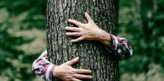 Opstanak društva ovisi o promjeni gospodarstva prema održivosti