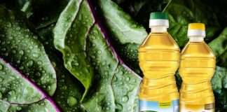 Nova izdanja Zvijezdinih ulja idealna su za putovanje