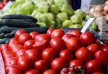 Tijekom 2025. povećana proizvodnja rajčica, paprike, salate…