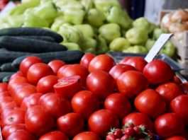 Tijekom 2025. povećana proizvodnja rajčica, paprike, salate…