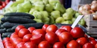 Prve rajčice označene znakom ‘Dokazana kvaliteta- Hrvatska’ uskoro na tržištu