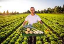 Kad Kaufland obeća svježe – osigura neviđeno svježe