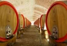 Goldberg Red – novo veliko crno vino iz Baranje