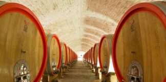 Goldberg Red – novo veliko crno vino iz Baranje