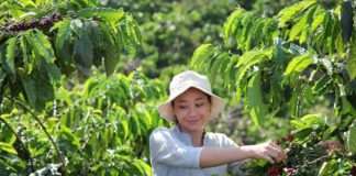 NESCAFÉ predstavio plan za pomoć održivosti uzgoja kave do 2030. godine