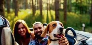 Čarolija brenda je u EMOCIJAMA