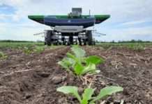 Skok dobiti i prihoda velikog njemačkog proizvođača šećera