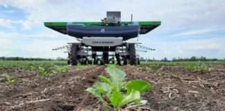 Skok dobiti i prihoda velikog njemačkog proizvođača šećera