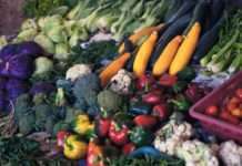 Poljoprivredna bruto proizvodnja u 2024. povećana za 6,6 posto